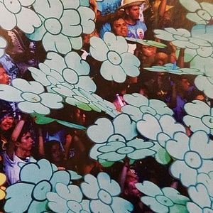 Meet your Posher, Judy